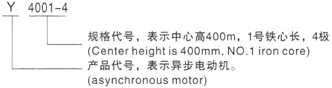 西安泰富西玛Y系列(H355-1000)高压YE2-250M-8三相异步电机型号说明