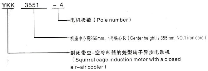 YKK系列(H355-1000)高压YE2-250M-8三相异步电机西安泰富西玛电机型号说明